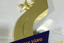 Giám Đốc Thẩm Mỹ Viện Châu Á - Bác sĩ Nguyễn Bảo Trọng nhận giải Bàn Tay Vàng 
